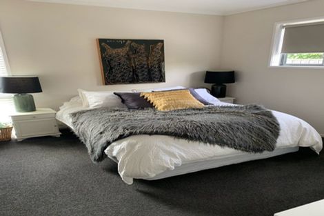 Photo of property in 48 Winchester Street, Merivale, Christchurch, 8014