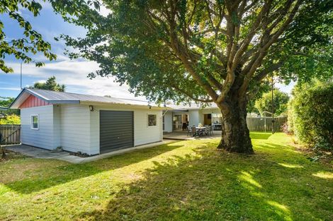 Photo of property in 30 Snowdon Avenue, Terrace End, Palmerston North, 4410