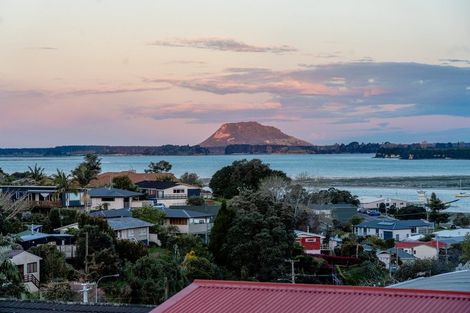 Photo of property in 16 Mcdonnell Street, Omokoroa, 3114