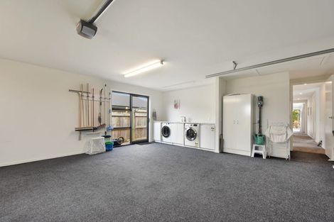 Photo of property in 17 Travers Avenue, Richmond, 7020