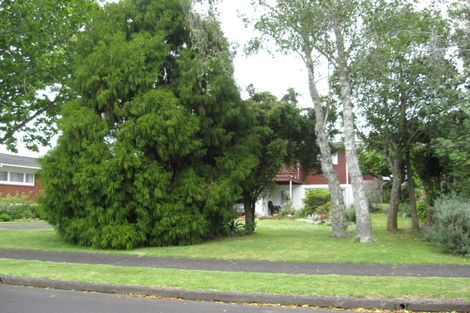 Photo of property in 12 Hogan Street, Pukekohe, 2120