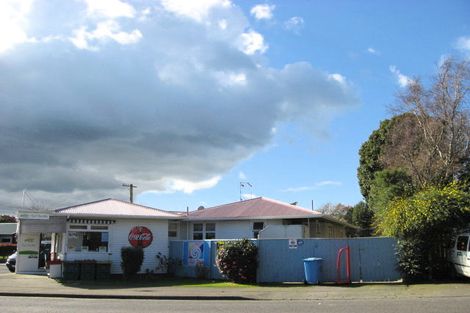 Photo of property in 1 Macarthur Street, Levin, 5510