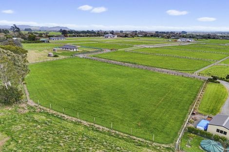 Photo of property in 425 Tararua Road, Levin, 5571