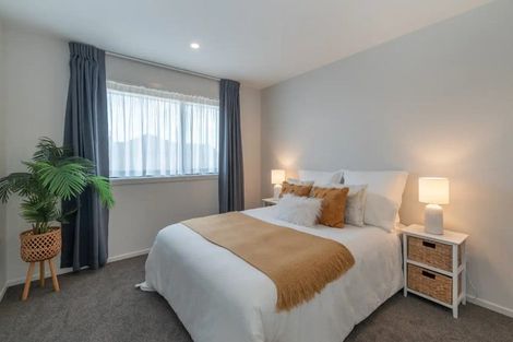 Photo of property in 20 Fairmaid Street, Lincoln, 7608