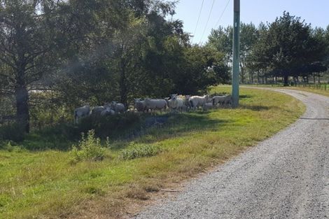 Photo of property in Hislop Road, Inch Clutha, Kaitangata, 9281