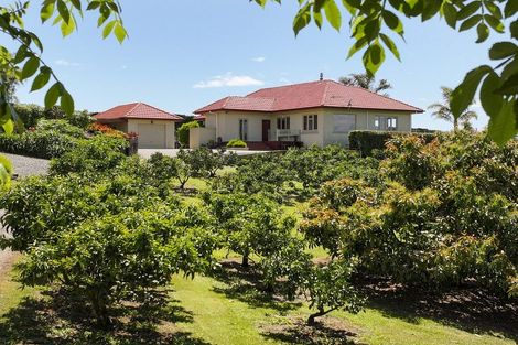 Photo of property in 11b Stokes Road, Tahawai, Katikati, 3170
