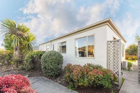 Photo of property in 87 Arbor-lea Avenue, Richmond, 7020