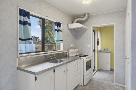 Photo of property in 23 Douglas Street, Levin, 5510