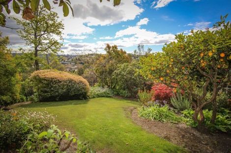 Photo of property in 16 Endeavour Street, Nelson South, Nelson, 7010