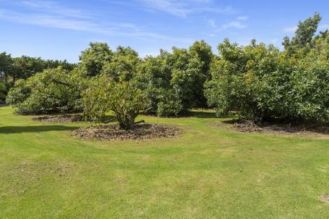 Photo of property in 311 Pahoia Road, Whakamarama, Tauranga, 3172