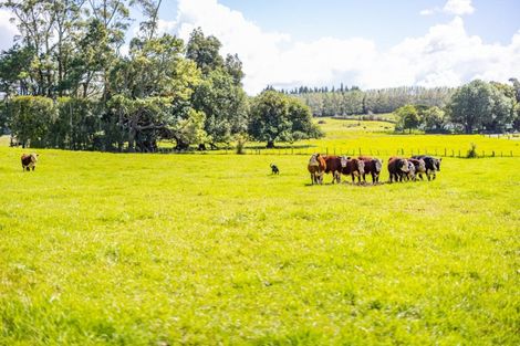 Photo of property in 168 Hariru Road, Ohaeawai, Kaikohe, 0472