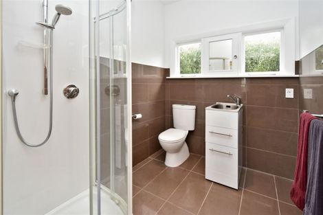 Photo of property in 105 Petrie Street, Richmond, Christchurch, 8013