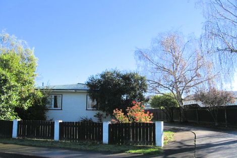 Photo of property in 223 Lumsden Place, Akina, Hastings, 4122