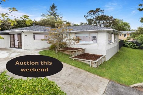 Photo of property in 46b Kamara Road, Glen Eden, Auckland, 0602