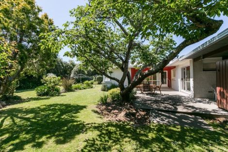 Photo of property in 1 Shortland Place, Havelock North, 4130