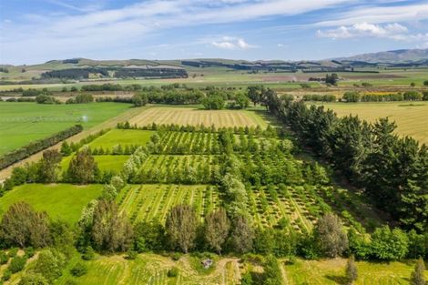 Photo of property in 64 Buschs Road, Medbury, Hawarden, 7385