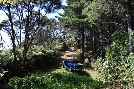 Photo of property in 478 Port Charles Road, Waikawau, Coromandel, 3584