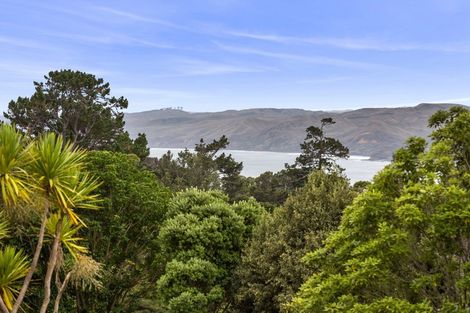 Photo of property in 56 Upper Wainui Road, Raglan, 3297