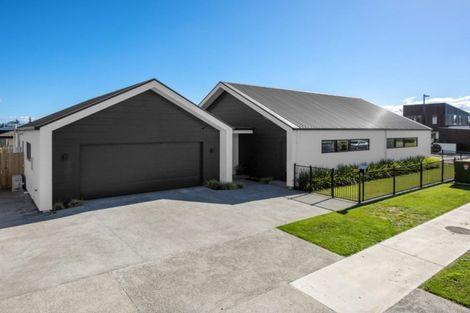 Photo of property in 5 Rose Street, Springlands, Blenheim, 7201