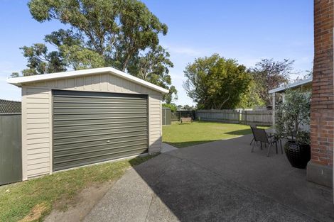Photo of property in 28 Summerhays Street, Terrace End, Palmerston North, 4410