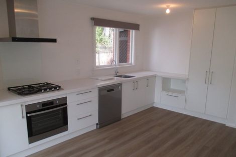 Photo of property in 184a Rutland Street, St Albans, Christchurch, 8052