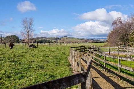 Photo of property in 80541 Masterton Road, Woodville, 4999