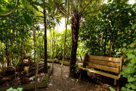 Photo of property in 47 Te Awe Awe Street, Hokowhitu, Palmerston North, 4410