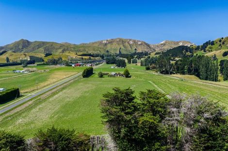 Photo of property in 36 Seddon Street, Ward, Seddon, 7285