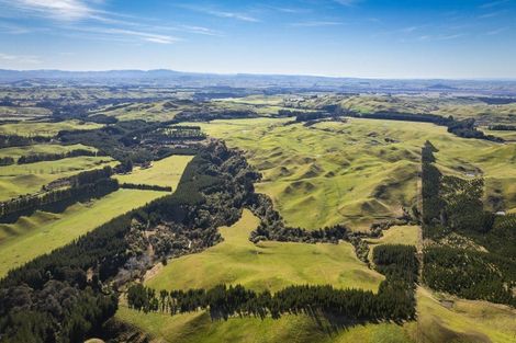 Photo of property in 1233 Kereru Road, Maraekakaho, Hastings, 4171