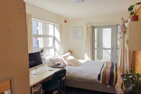 Photo of property in Drummond Street Flats, 1/19 Drummond Street, Mount Cook, Wellington, 6021