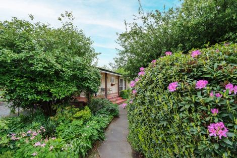 Photo of property in 3 Highfield Street, Waiau, 7332