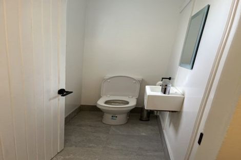 Photo of property in 39a Hankey Street, Mount Cook, Wellington, 6011