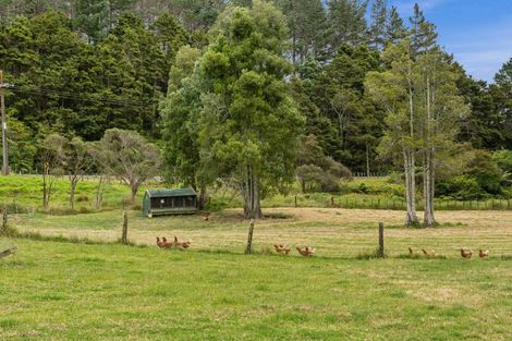 Photo of property in 873 Whangaripo Valley Road, Whangaripo, Wellsford, 0972