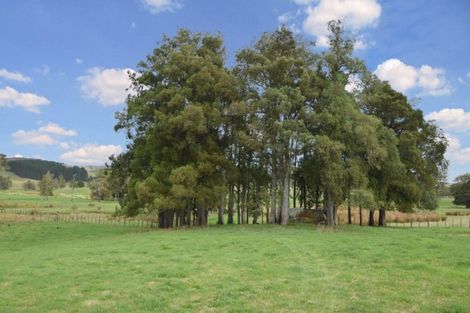 Photo of property in 528 Old Woodcocks Road, Kaipara Flats, Warkworth, 0981