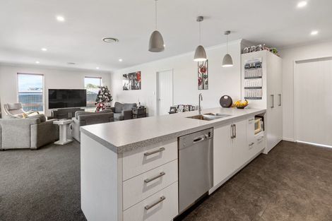 Photo of property in 36 Lazarette Loop, Gleniti, Timaru, 7910