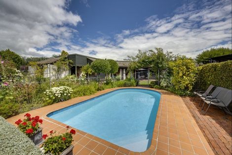 Photo of property in 627 York Street, Mahora, Hastings, 4120