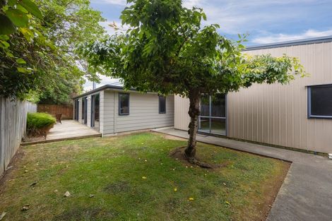 Photo of property in 87a Worcester Street, Ashhurst, 4810