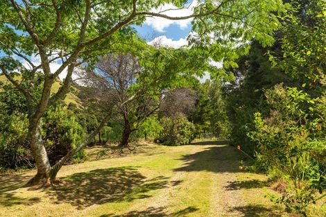 Photo of property in 49 Mangotahi Road, Thames, 3577