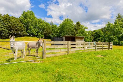 Photo of property in 157b Otapouri Road, Owhango, 3989