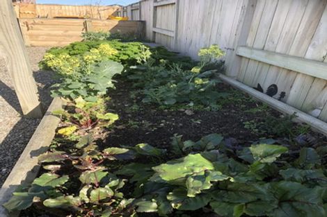 Photo of property in 294 Cambridge Avenue, Ashhurst, 4810