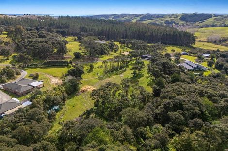Photo of property in 231a Wishart Road, Helensville, 0875