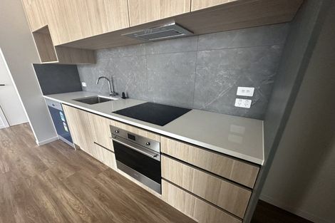 Photo of property in 102/3 Newelm Lane, Flat Bush, Auckland, 2019