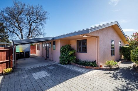 Photo of property in 116a Tarbert Street, Alexandra, 9320