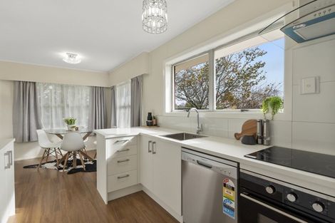 Photo of property in 39a Fifth Avenue, Enderley, Hamilton, 3214