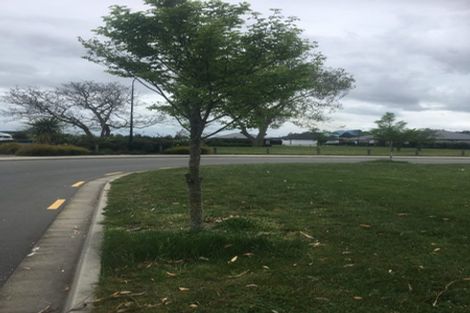 Photo of property in 24 Minerva Crescent, Woodend, 7610