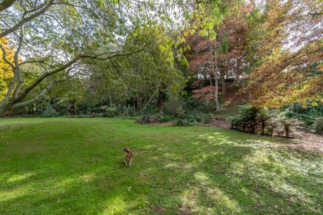 Photo of property in 30 Te Awa Road, Tamahere, Hamilton, 3283