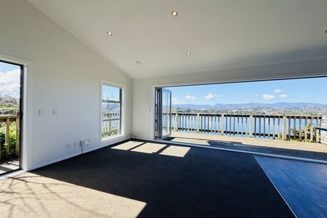 Photo of property in 55a Overtoun Terrace, Hataitai, Wellington, 6021