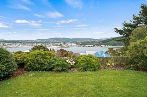 Photo of property in 133 Doon Street, Waverley, Dunedin, 9013