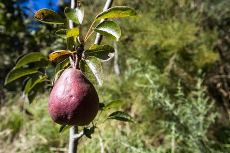 Photo of property in 78 Oxley Crescent, Broad Bay, Dunedin, 9014