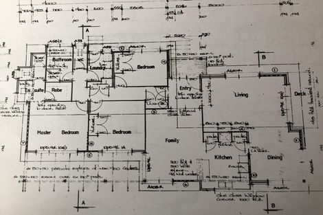 Photo of property in 49 Hazelwood Avenue, Dinsdale, Hamilton, 3204